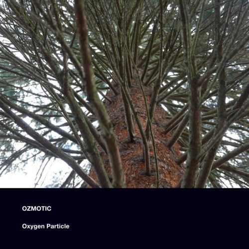 Cover Oxygen Particle